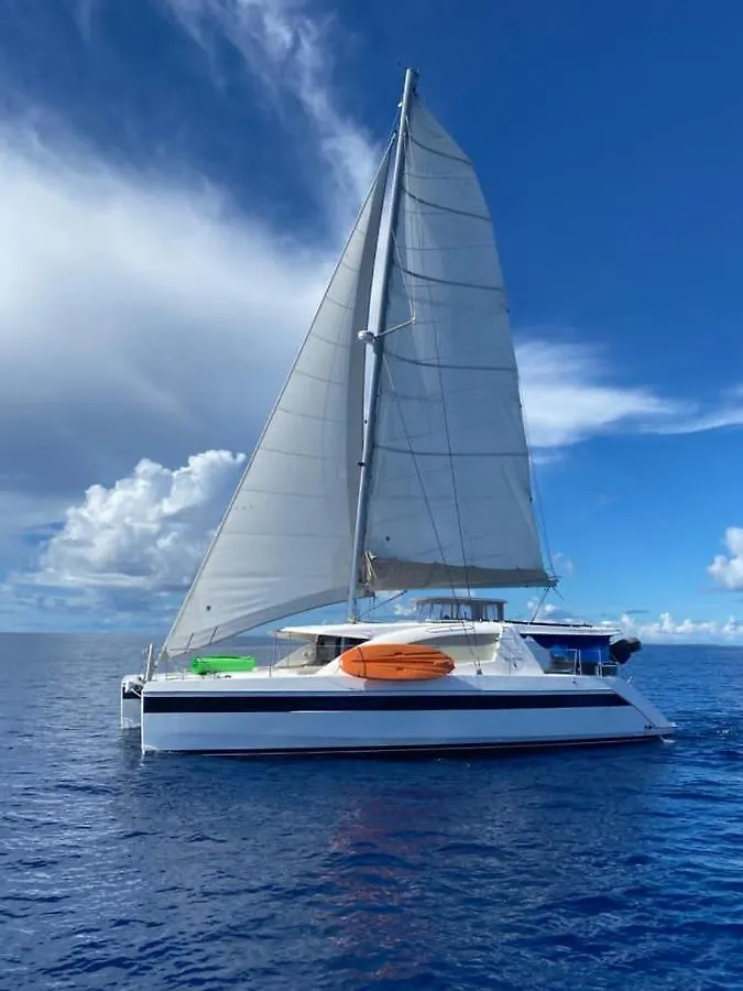Catamaran Hello World Hotel Bora Bora