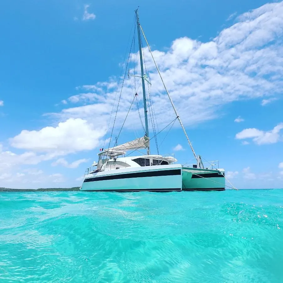 Catamaran Hello World Hotel Bora Bora